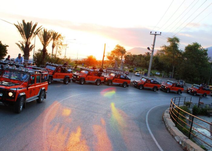 Night Safari